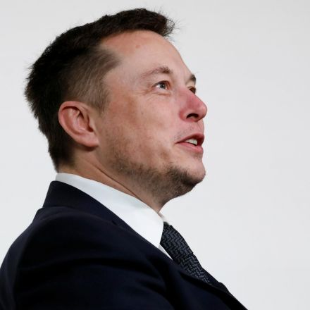 AI will probably destroy humans, Elon Musk warns
