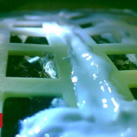 China's cotton seeds sprout on Moon