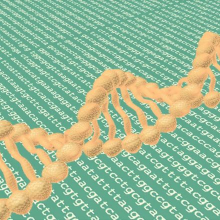 CRISPR modification overcomes major hurdle to human treatments