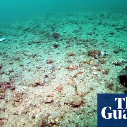 Bottom trawling releases as much carbon as air travel, landmark study finds