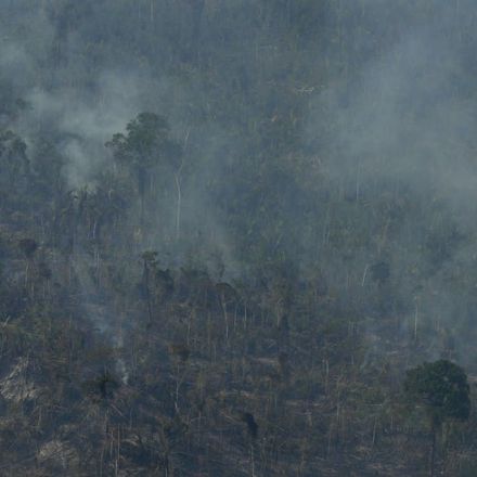 Amazon fires are destructive, but they aren't depleting Earth's oxygen supply