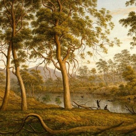 This rainforest was once a grassland savanna maintained by Aboriginal people – until colonisation