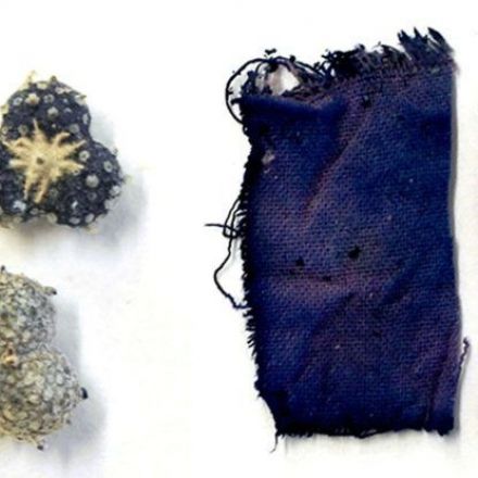 Scientists Discover a New Compound in Medieval Ink That Was Once Lost to Time