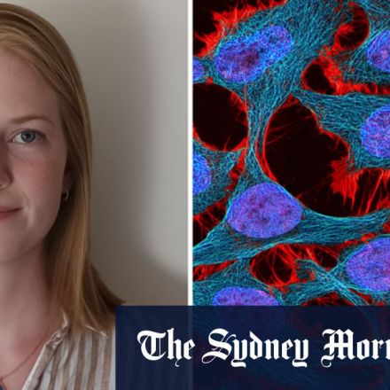 The cancer research flaw uncovered by a Sydney student