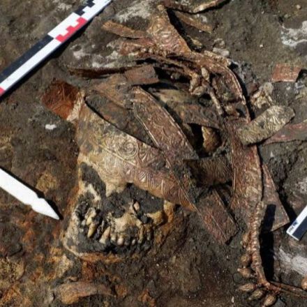 New DNA Analysis Reveals Ancient Scythian Warrior Was a 13-Year-Old Girl