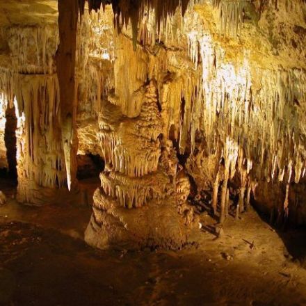 Inside the Naracoorte Caves, one of the world's richest fossil sites