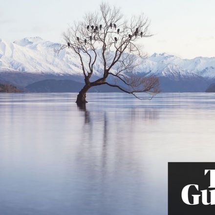 Why Silicon Valley billionaires are prepping for the apocalypse in New Zealand