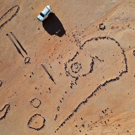 'Australia's silk road': Quarry sites dating back 2,100 years reveal world-scale trading system on Mithaka country