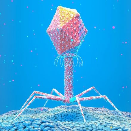 Viruses are both the villains and heroes of life as we know it