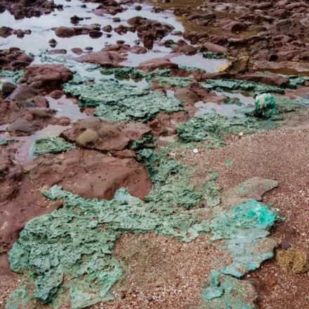 'Horrifying' Plastic Rocks Emerge in Remote Island Paradise