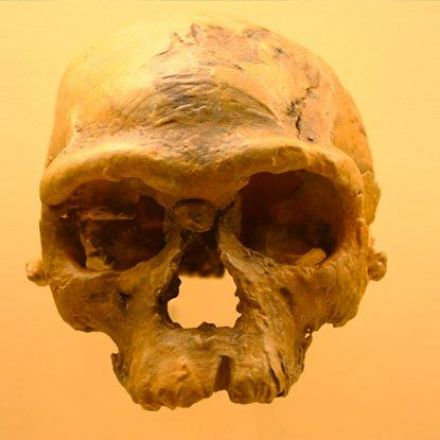 The Story of Human Origins in Africa Is Changing in a Way We Never Expected