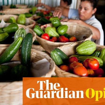 Small farmers have the answer to feeding the world. Why isn’t the UN listening? | Elizabeth Mpofu and Henk Hobbelink