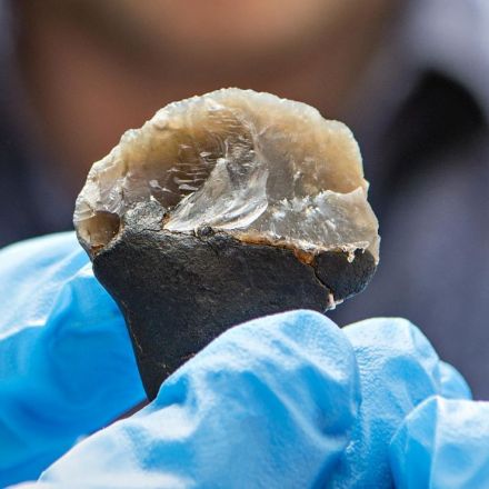 Neanderthal glue was a bigger deal than we thought