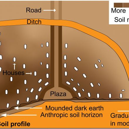 Intentional creation of carbon-rich dark earth soils in the Amazon