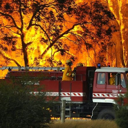 World-first research confirms Australia's forests became catastrophic fire risk after British invasion
