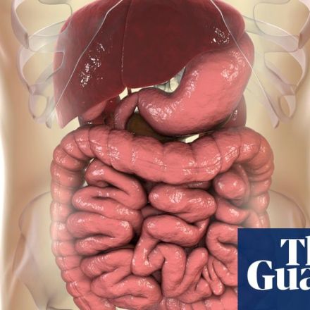 Faecal transplant researchers identify 'super-pooper' donors