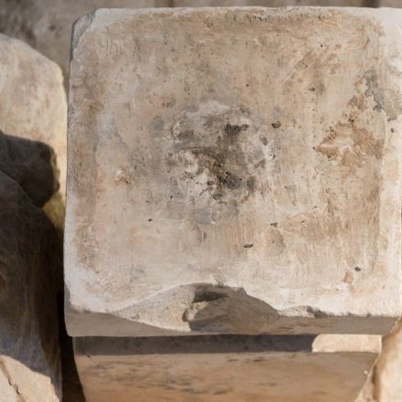 Scientists Found Weed at an Ancient Altar From Biblical Times