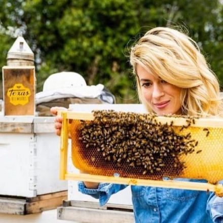 'Over the top': backlash against TikTok's bee lady not justified, say bee experts