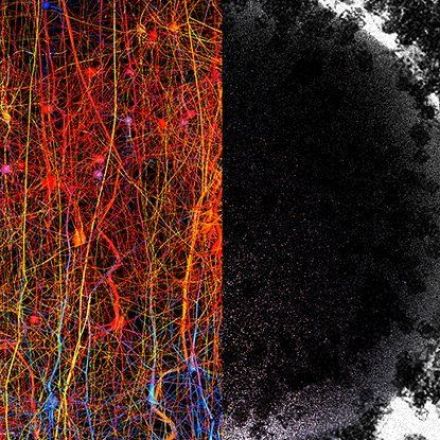 Scientists Find Evidence The Human Brain Can Create Structures in Up to 11 Dimensions
