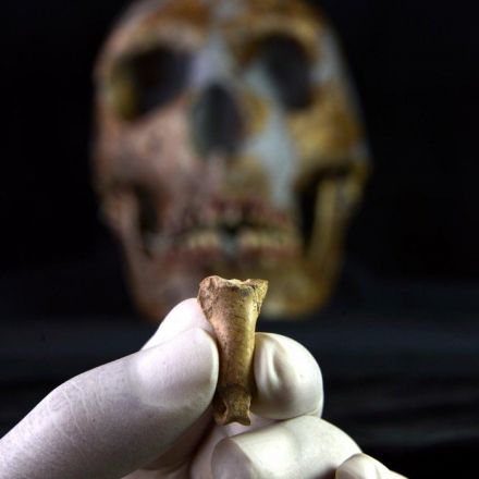 The Last of The Neanderthals Carved This Eagle Talon Into a Powerful Symbol