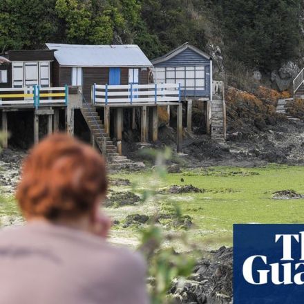 'It can kill you in seconds': the deadly algae on Brittany's beaches