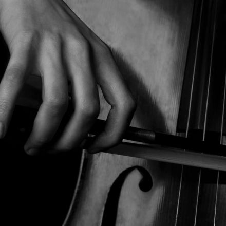Decoding the music masterpieces: Bach’s Six Solo Cello Suites