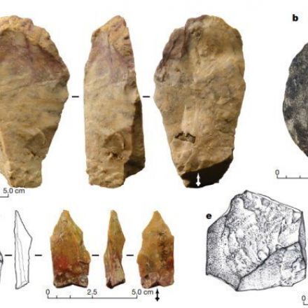 A Mysterious Human Ancestor Used These 700,000-Year-Old Tools From The Philippines