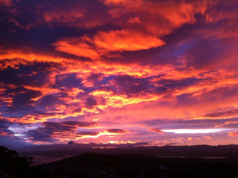 Sunrise over Wellington Harbour