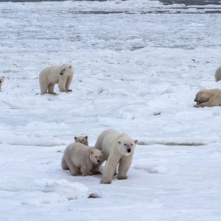 Climate change is wreaking havoc in the Arctic and beyond