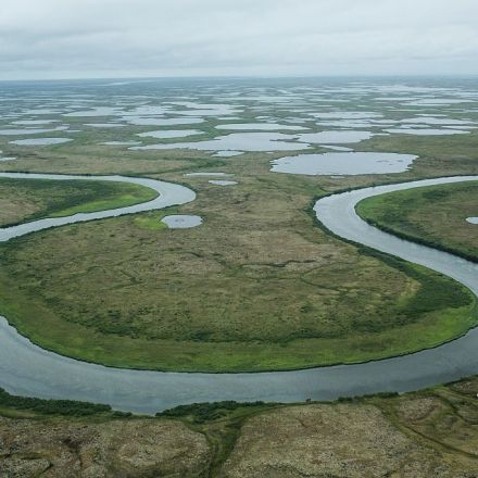 Thawing permafrost exposes old pathogens—and new hosts