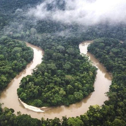 Amazon rainforest reaching tipping point, researchers say
