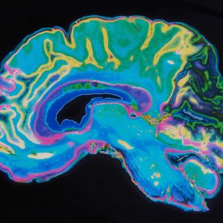 Scientists discover mood-altering brain receptor
