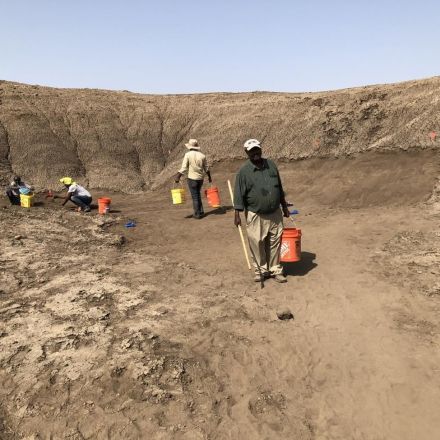 New archaeological sites discovered at Gona, Ethiopia