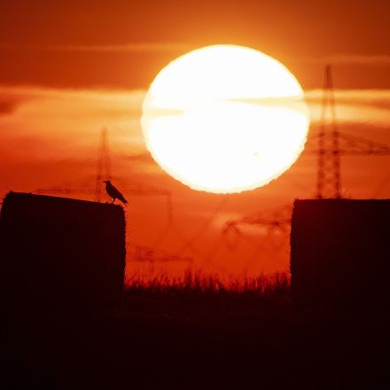 Scientists confirm July set new global heat record