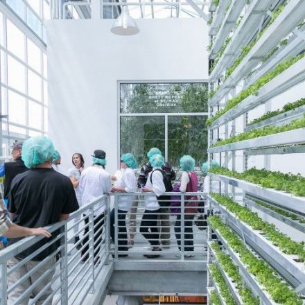New Projects Combine Vertical Farming With Affordable Housing