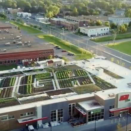 A Canadian grocery store is growing organic veggies on its rooftop