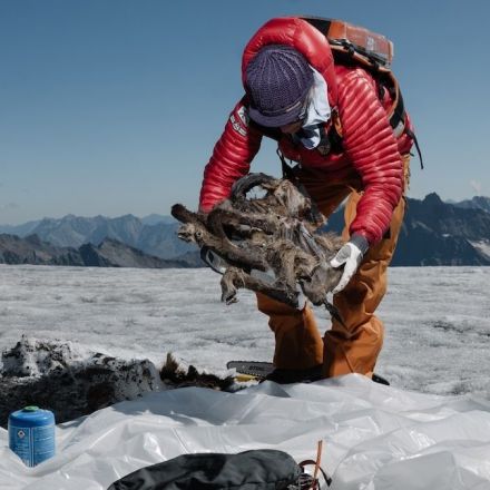 500-year-old 'goatelope' mummy found in melting European glacier