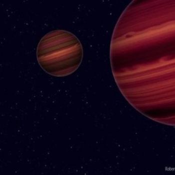 Are brown dwarfs stars, planets or neither?