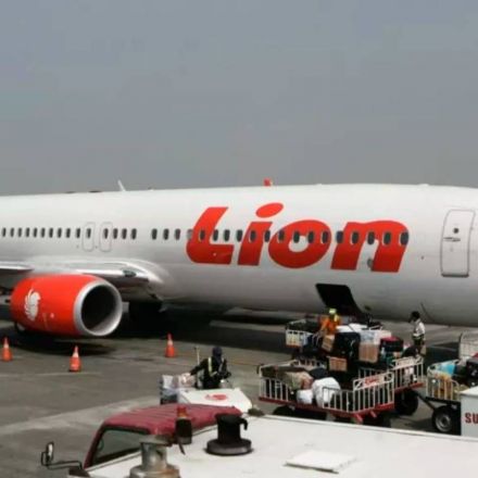 Boeing didn’t inform pilots about a control issue with some new 737 Max jets before a deadly Lion Air crash
