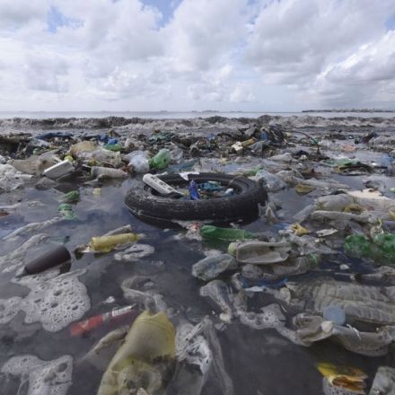 UK to call for third of world's oceans to be protected by 2030