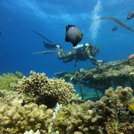 Scientists are borrowing from dystopian sci-fi in a last-ditch effort to save coral reefs