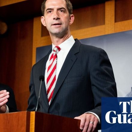 Tom Cotton calls slavery 'necessary evil' in attack on New York Times' 1619 Project