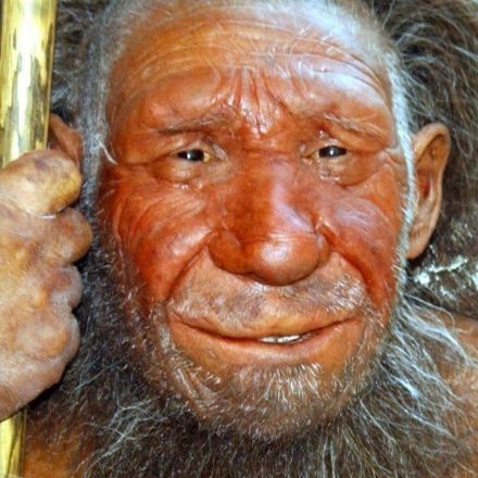Scientists to develop Neanderthal 'miniature brains'
