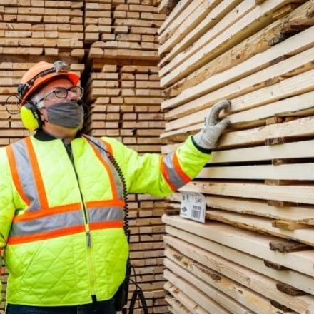 Pandemic lumber boom burnt itself out — and consumers poised to benefit now | CBC News