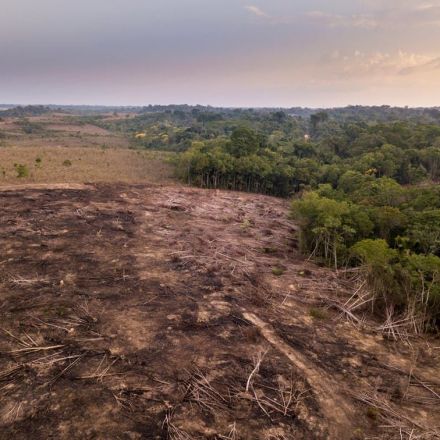 The Amazon rainforest is disappearing quickly — and threatening Indigenous people who live there