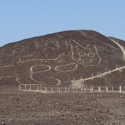 Large 2,000-year-old cat discovered in Peru's Nazca lines
