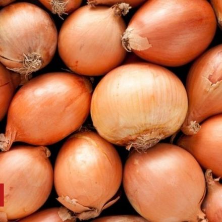 Why some onions were too sexy for Facebook