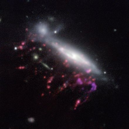 'Jellyfish' Galaxies Reveal Feeding Habits of Monster Black Holes