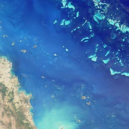 This is likely the last generation to see the Great Barrier Reef as humans have known it