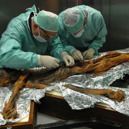 5,300 Years Ago, Ötzi the Iceman Died. Now We Know His Last Meal.